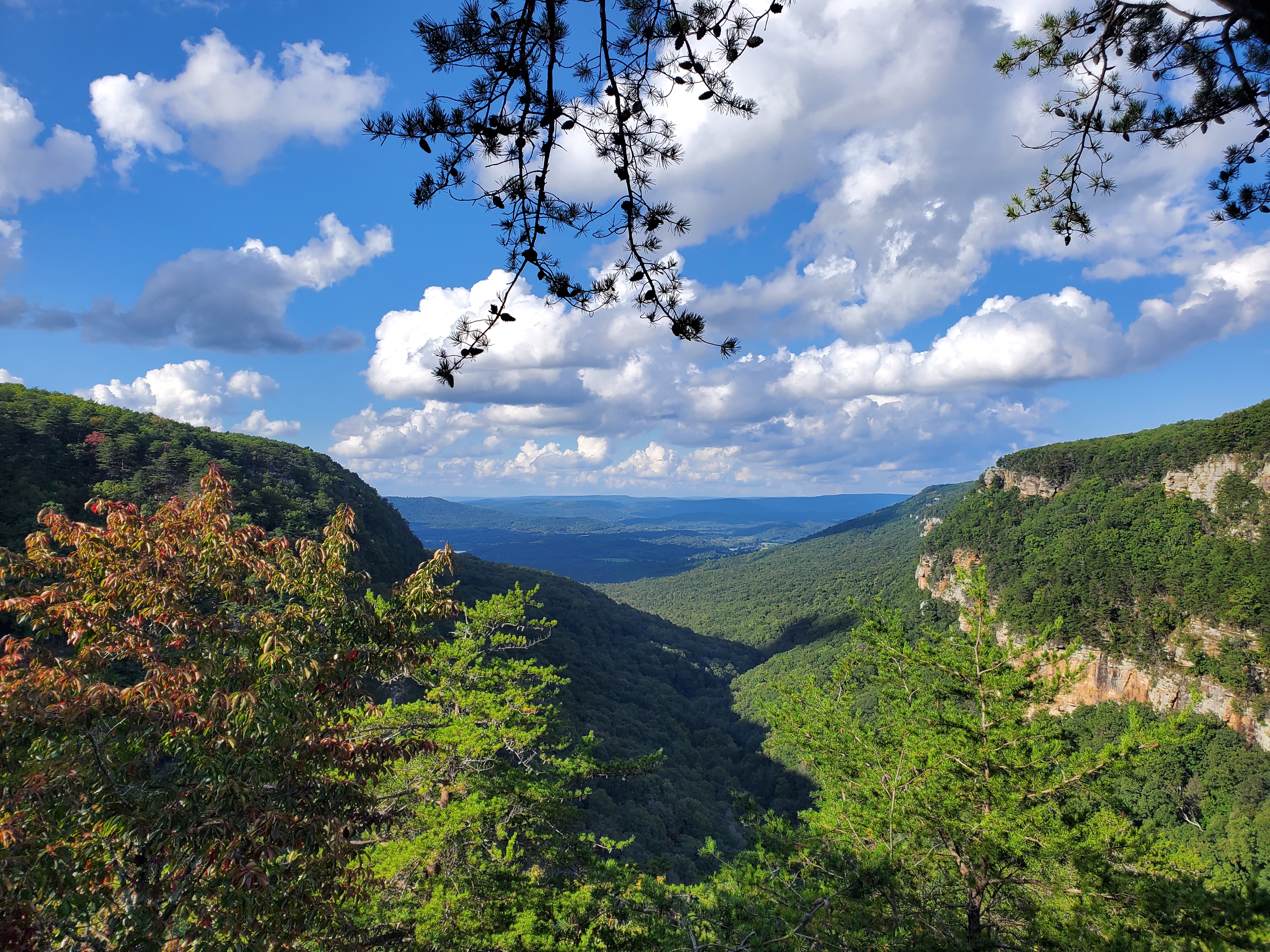 Townsend trip preview